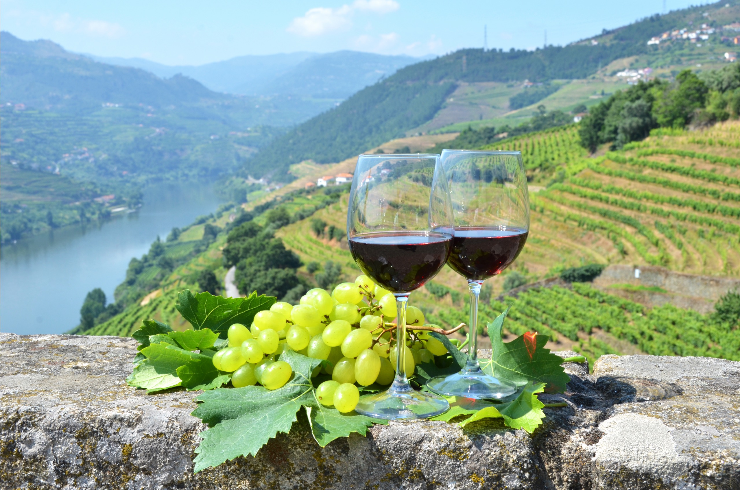 Vin portugais : voyage dans les vignobles du Portugal