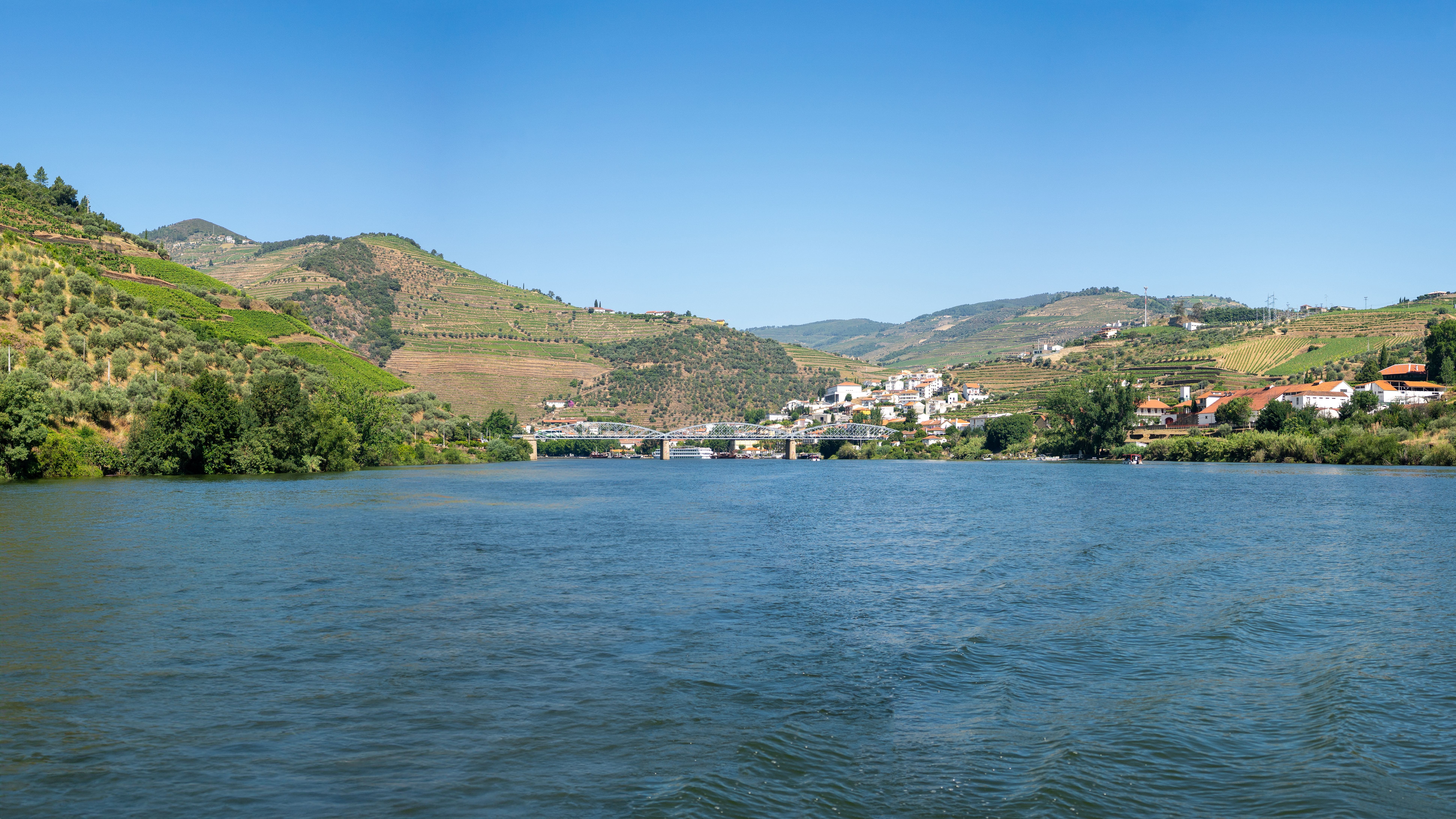 Pinhão