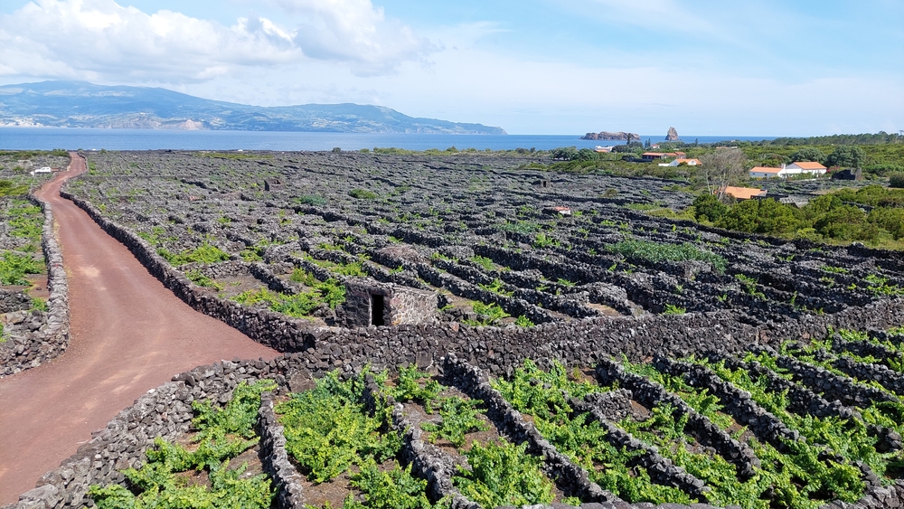 Landscape of the Azores and Madeira region in Portugal