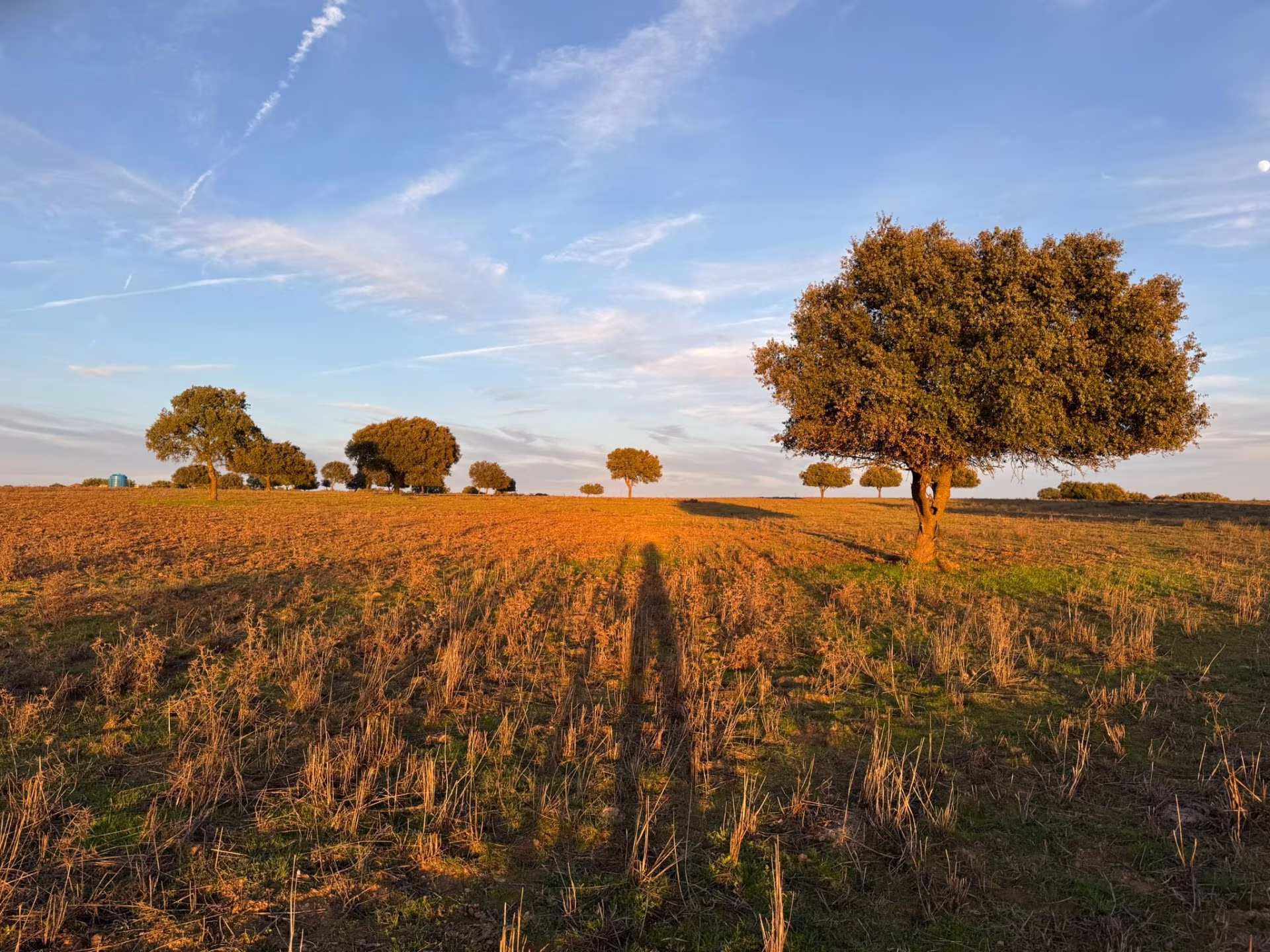 Échappée en Alentejo : villages, vignobles et héritages