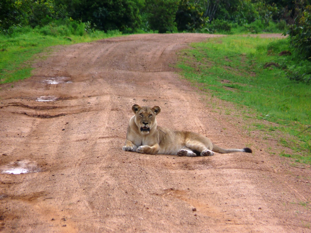 Parc National Katavi