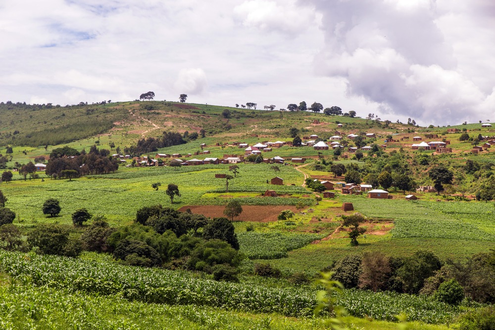 Mbeya