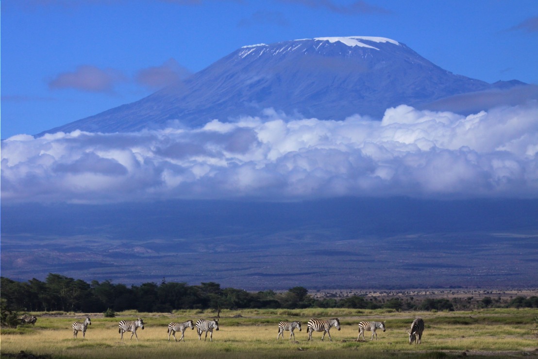 Les monts Kenya et Kilimandjaro : quel sommet choisir pour un trek en haute altitude ?