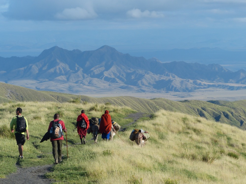 Where to Meet the Maasai Tribe in Tanzania and How to Visit a Village?