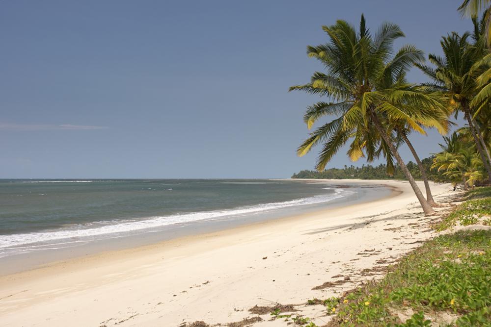 Se baigner en Tanzanie : top 10 des plus belles plages et îles du pays !
