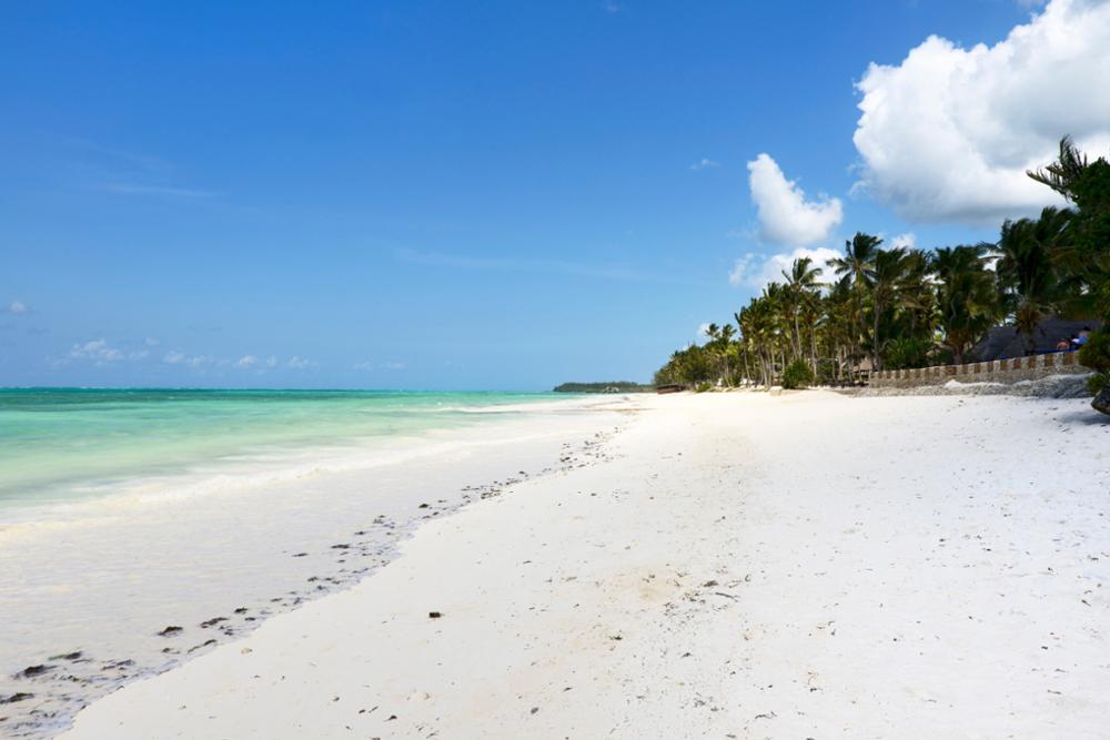 Se baigner en Tanzanie : top 10 des plus belles plages et îles du pays !