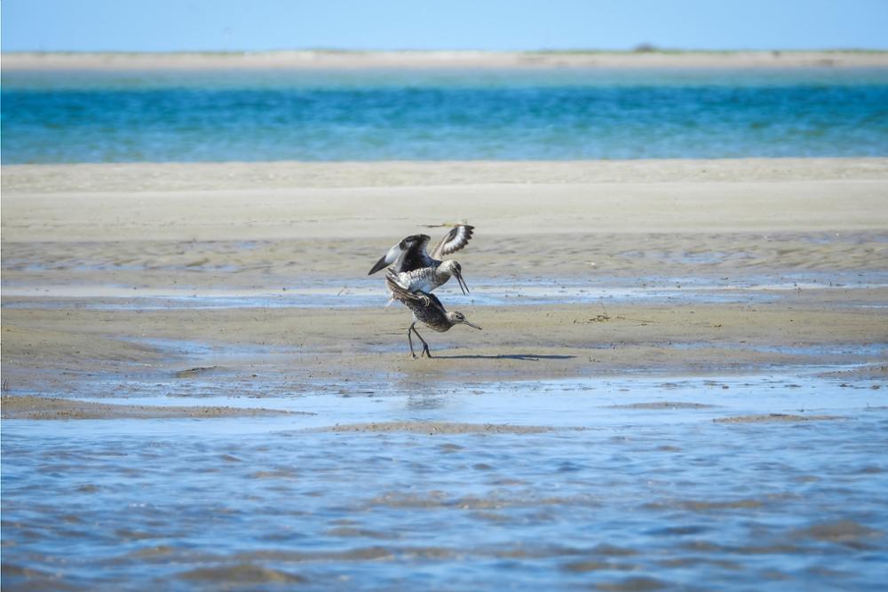 Se baigner en Tanzanie : top 10 des plus belles plages et îles du pays !