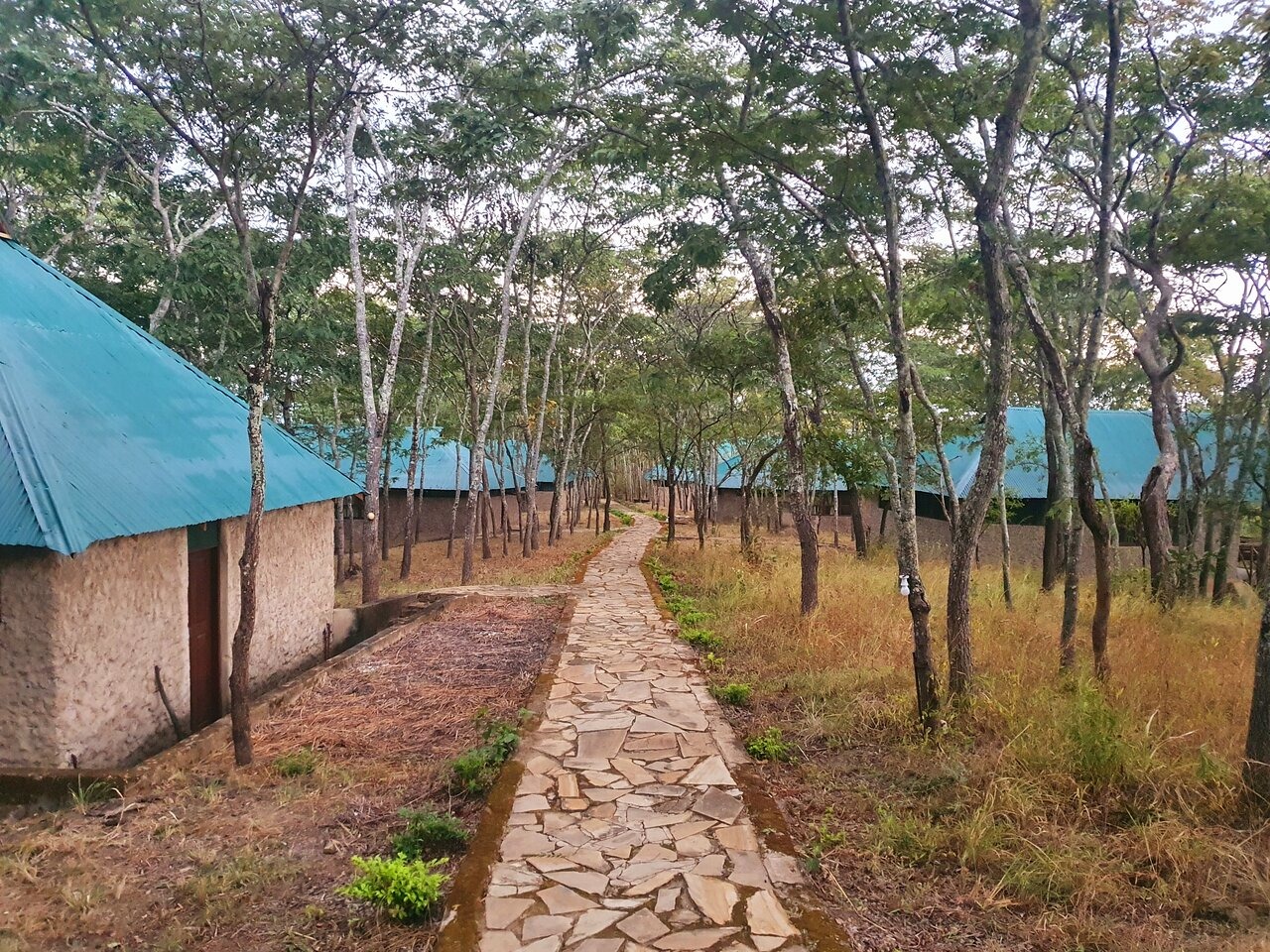 Mikumi Safari Lodge