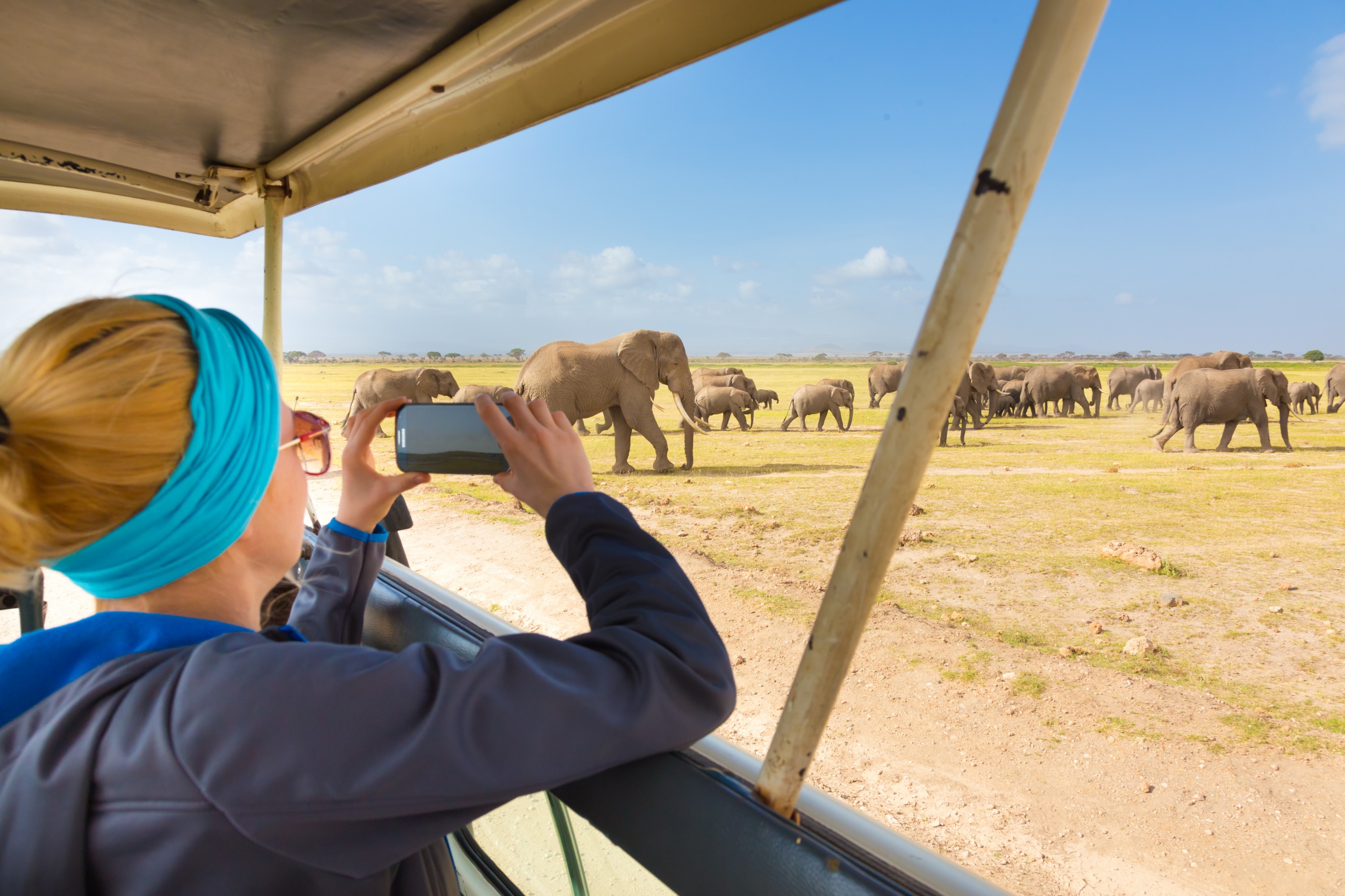 Faire un safari en famille en Tanzanie : nos conseils