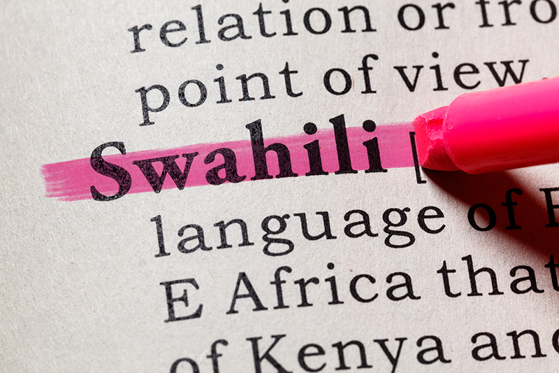 Languages in Tanzania