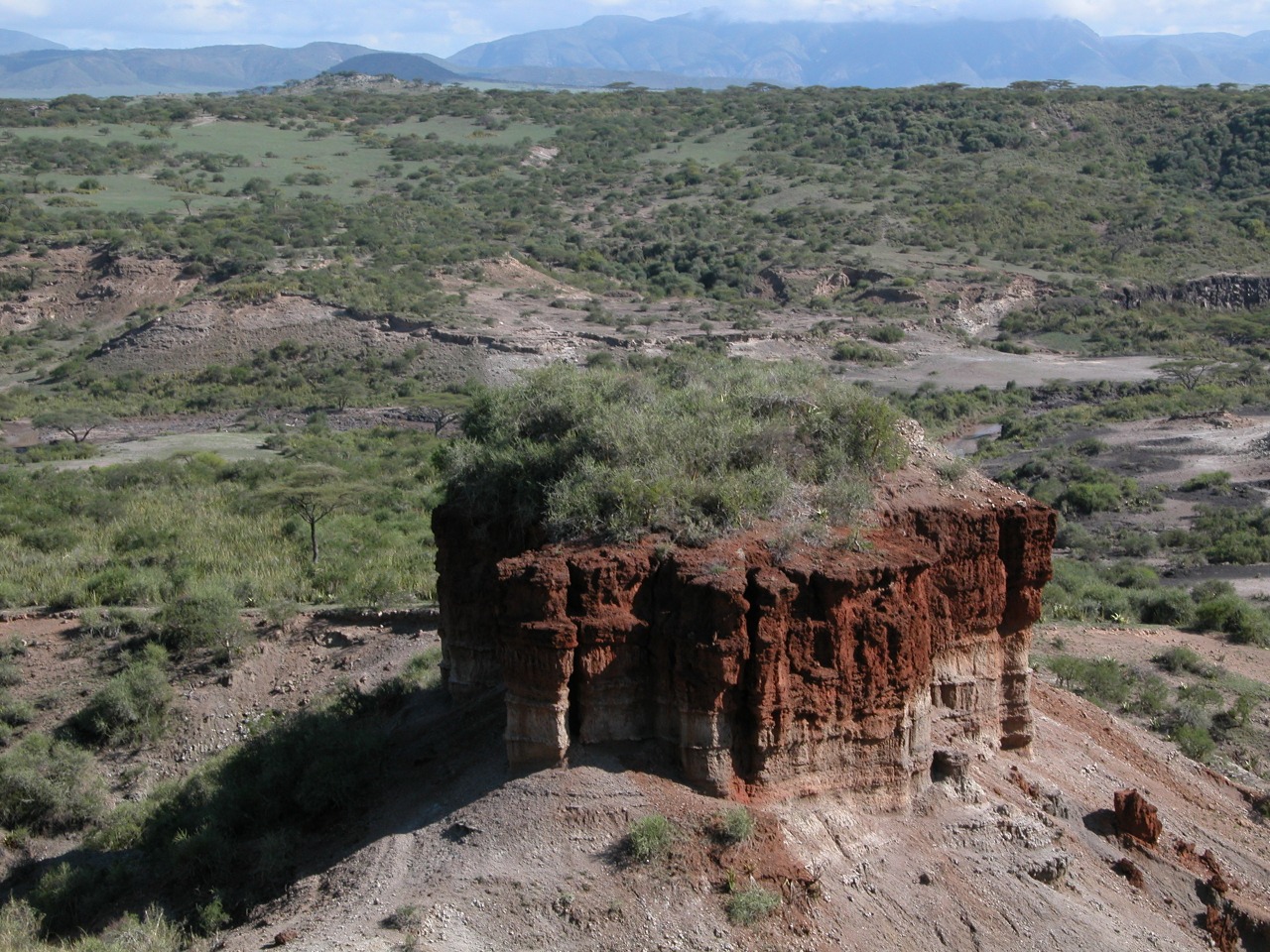 Gorges d'Olduvai