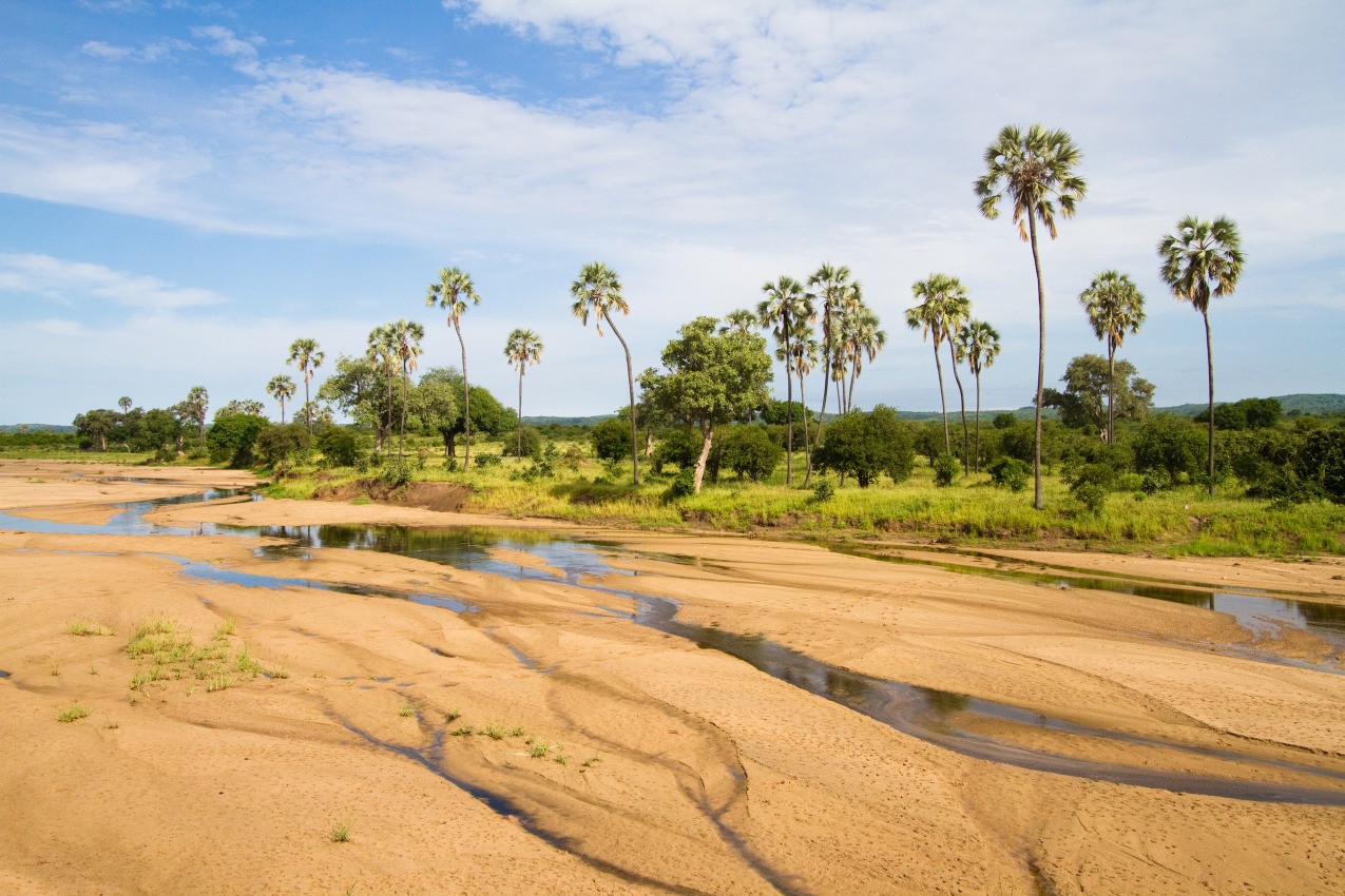 Parc National de Ruaha