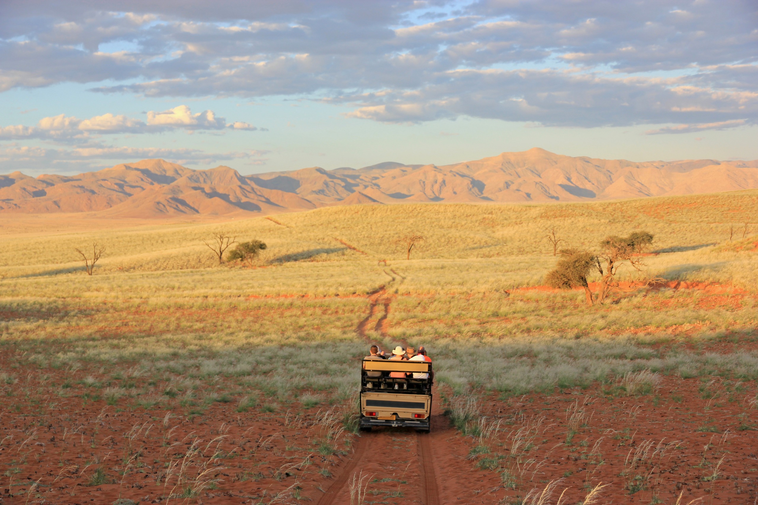 Safari in Africa: Which country to choose between Namibia and Tanzania?