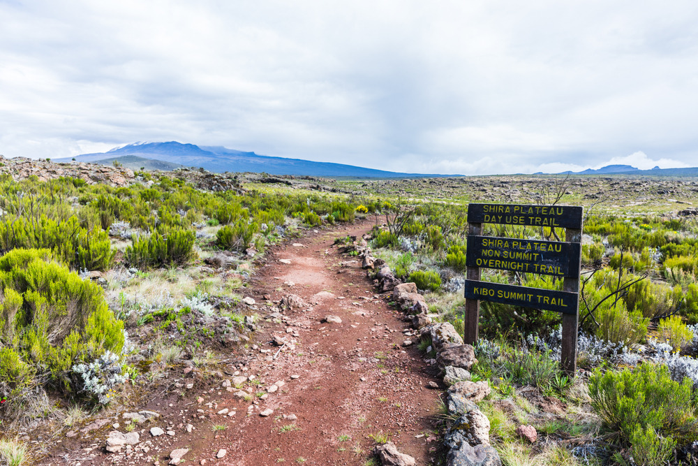 Plateau de Shira