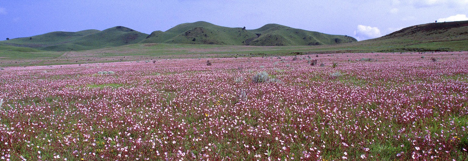 Parc national de Kitulo
