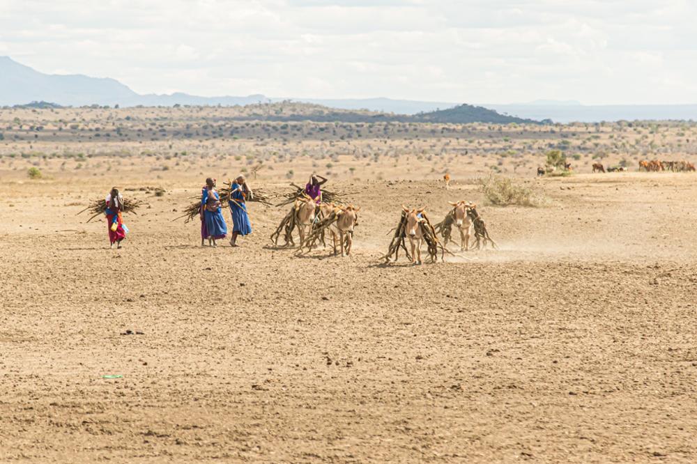Quelles ethnies peut-on rencontrer pendant un voyage en Tanzanie ?