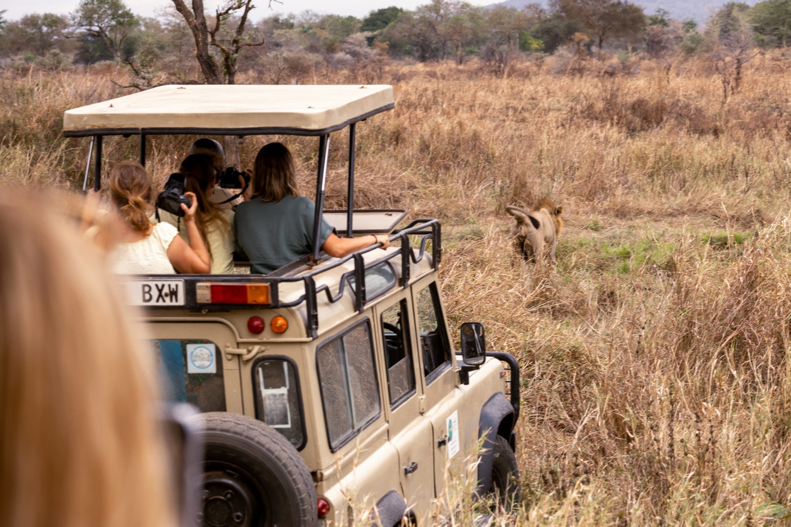 Voyage en Tanzanie et Zanzibar : notre itinéraire idéal pour combiner safaris et plages