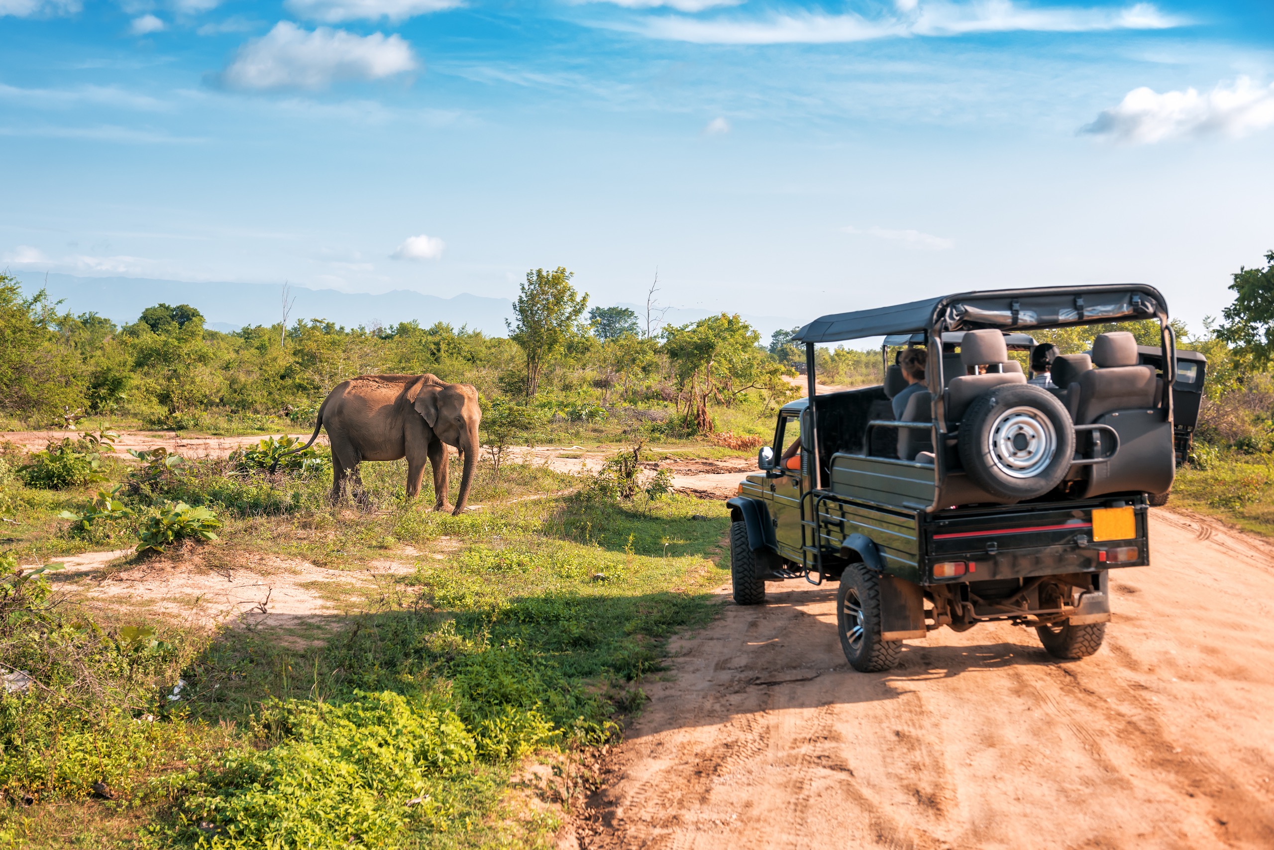 Quand partir pour un safari en Tanzanie ?