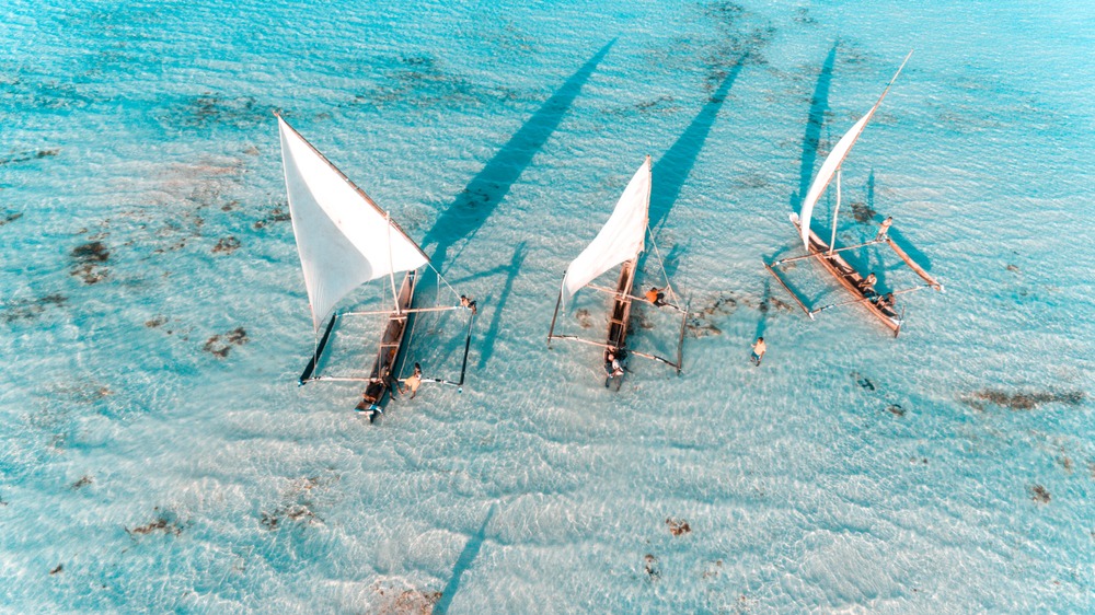 Excursion en dhow