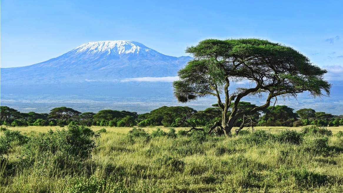 Machame Route : 6 jours / 5 nuits dans la montagne