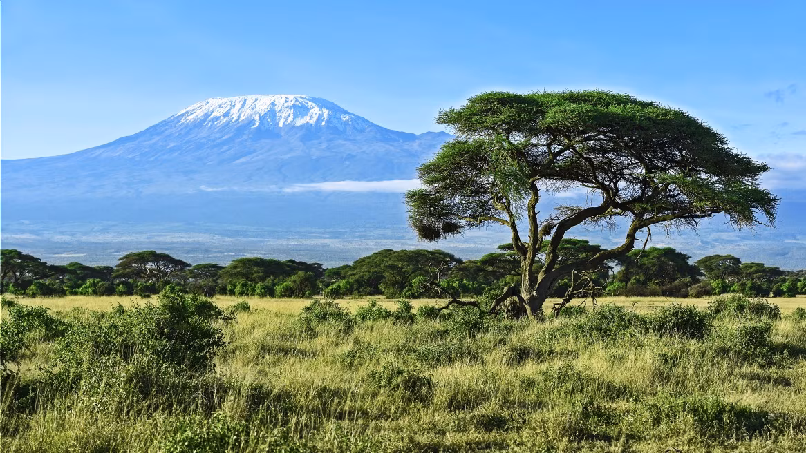 Ruta Machame: 6 días / 5 noches en la montaña