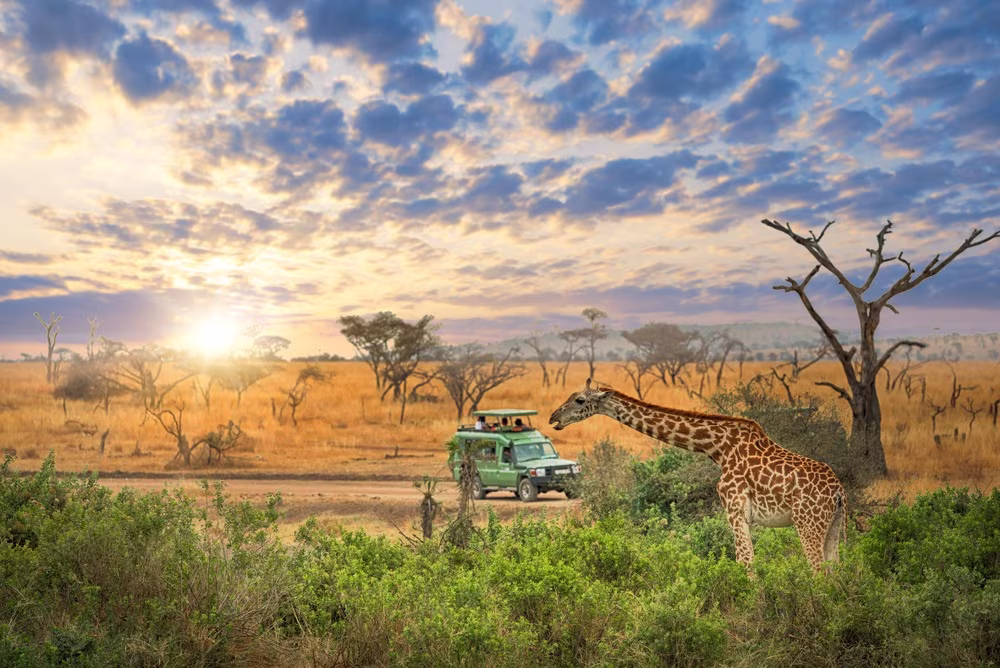 Essentiel de la Tanzanie