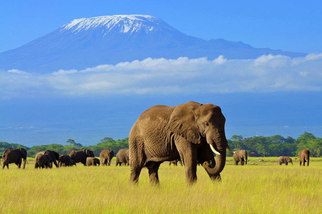 Ascent of Mount Kenya and Kilimanjaro