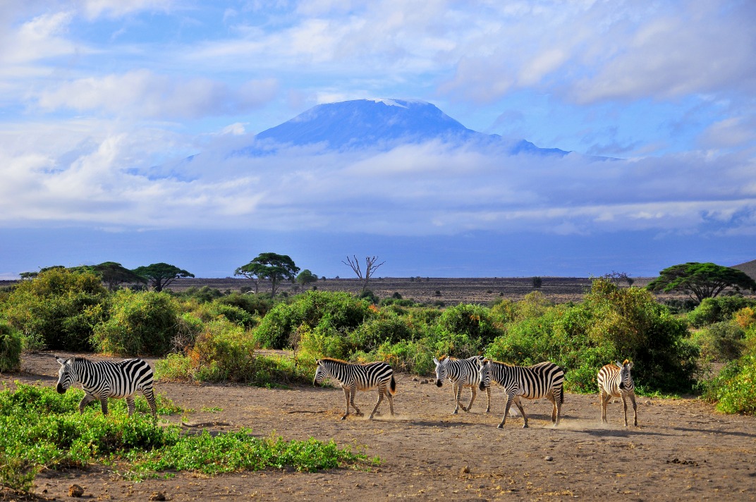 Toit de l'Afrique & Vie Sauvage