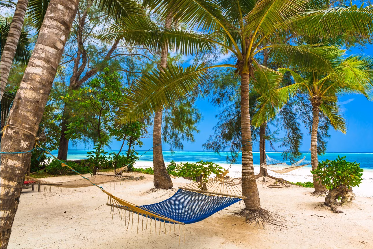 Zanzibar: a Seaside Paradise