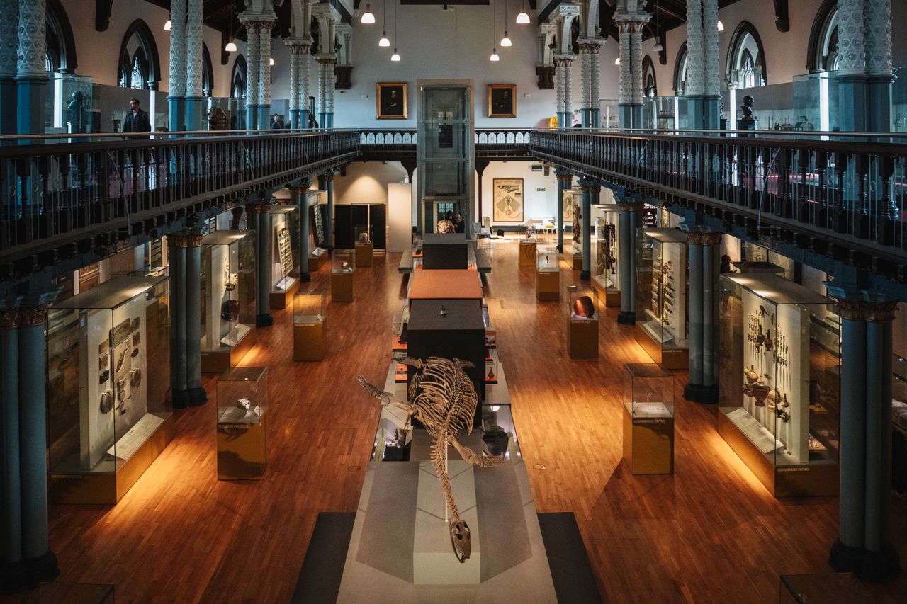 Staffin Dinosaur Museum