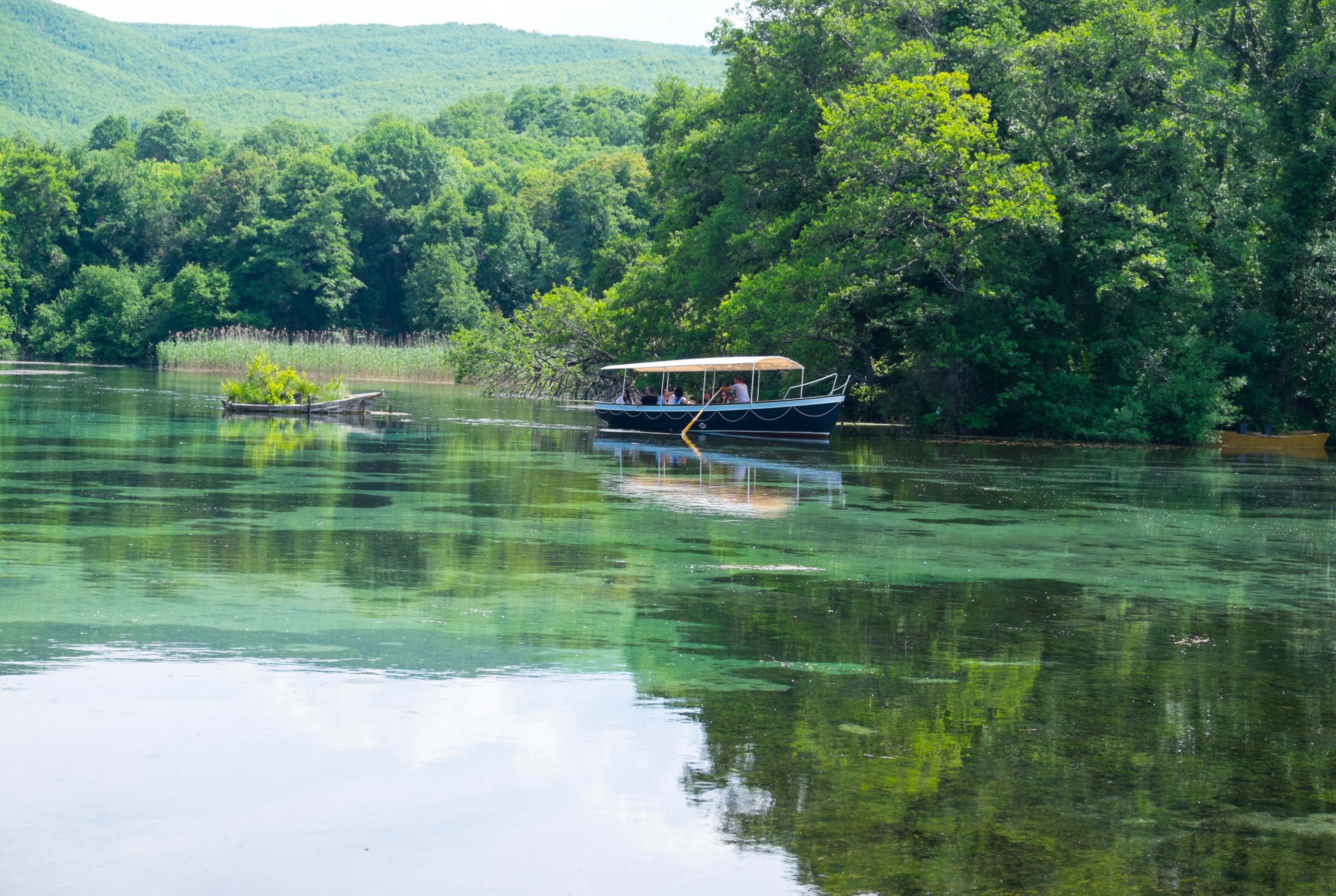 Parc national de Drilon