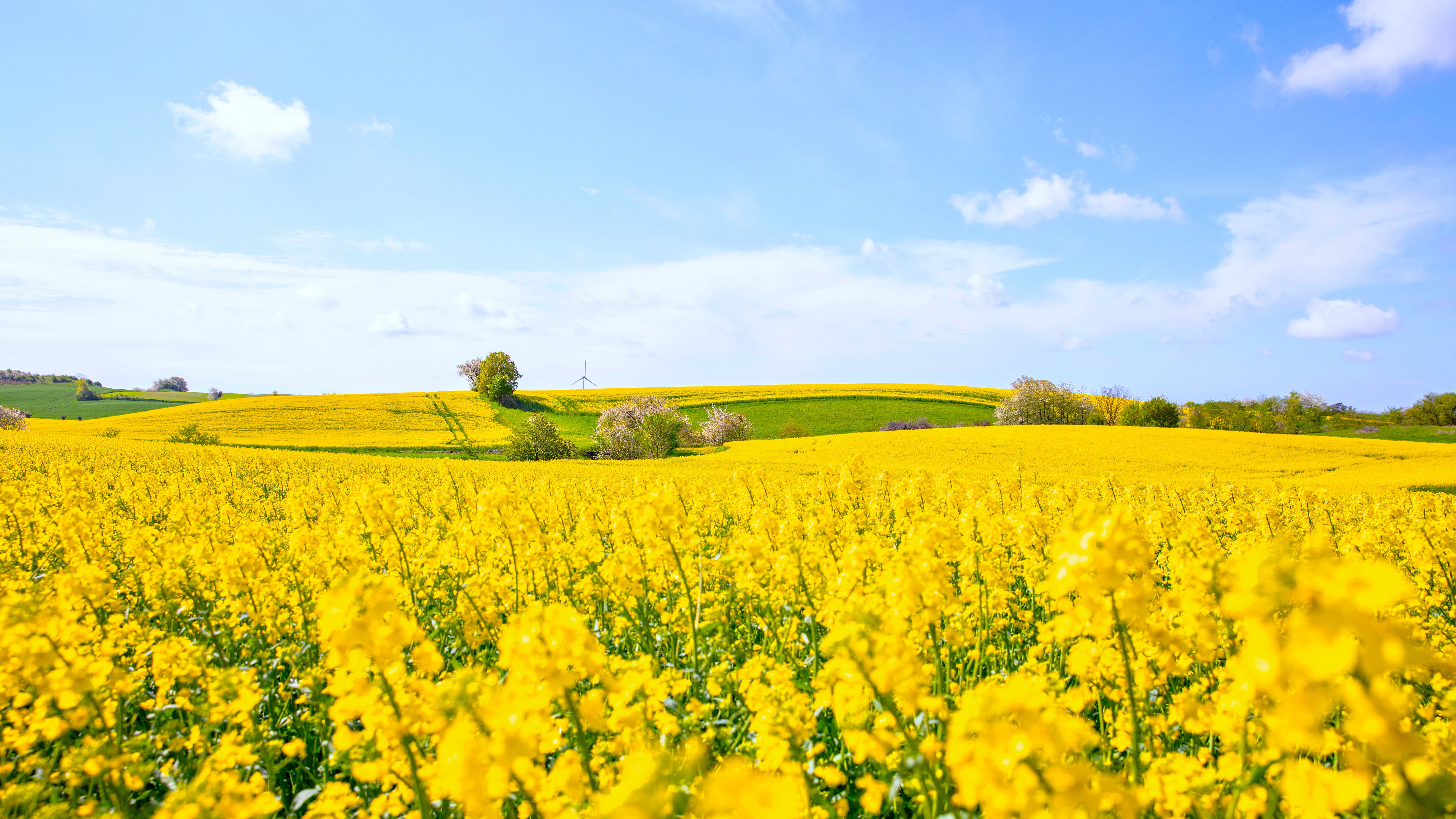 Paysage de la région Scanie et Sud en Suède