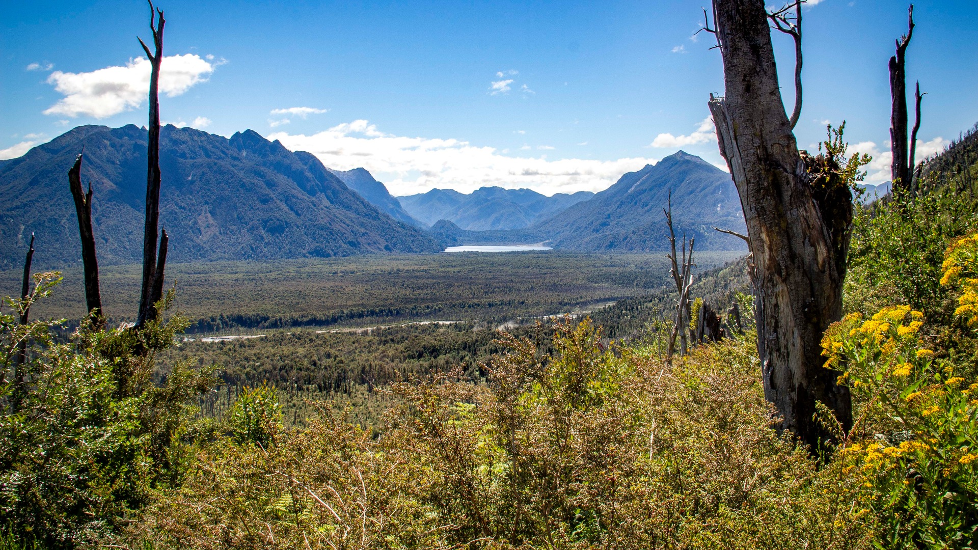Parc national Pumalin