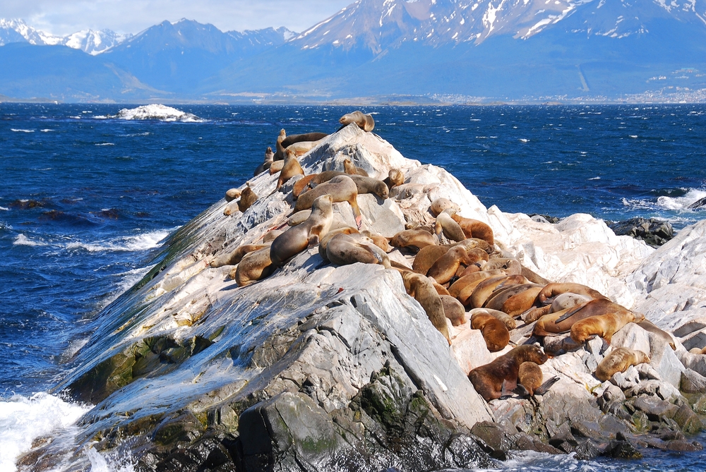 Canal Beagle