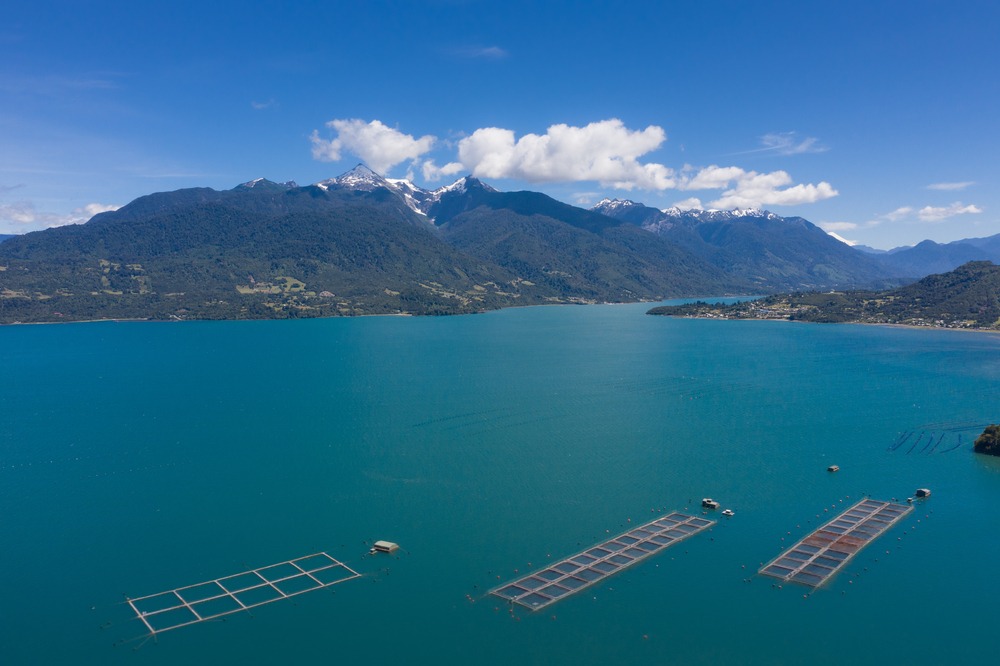 Estuaire de Reloncavi