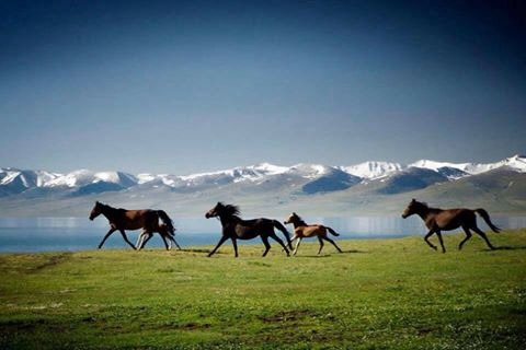 Les plus belles randonnées à faire autour du lac Issyk Kul
