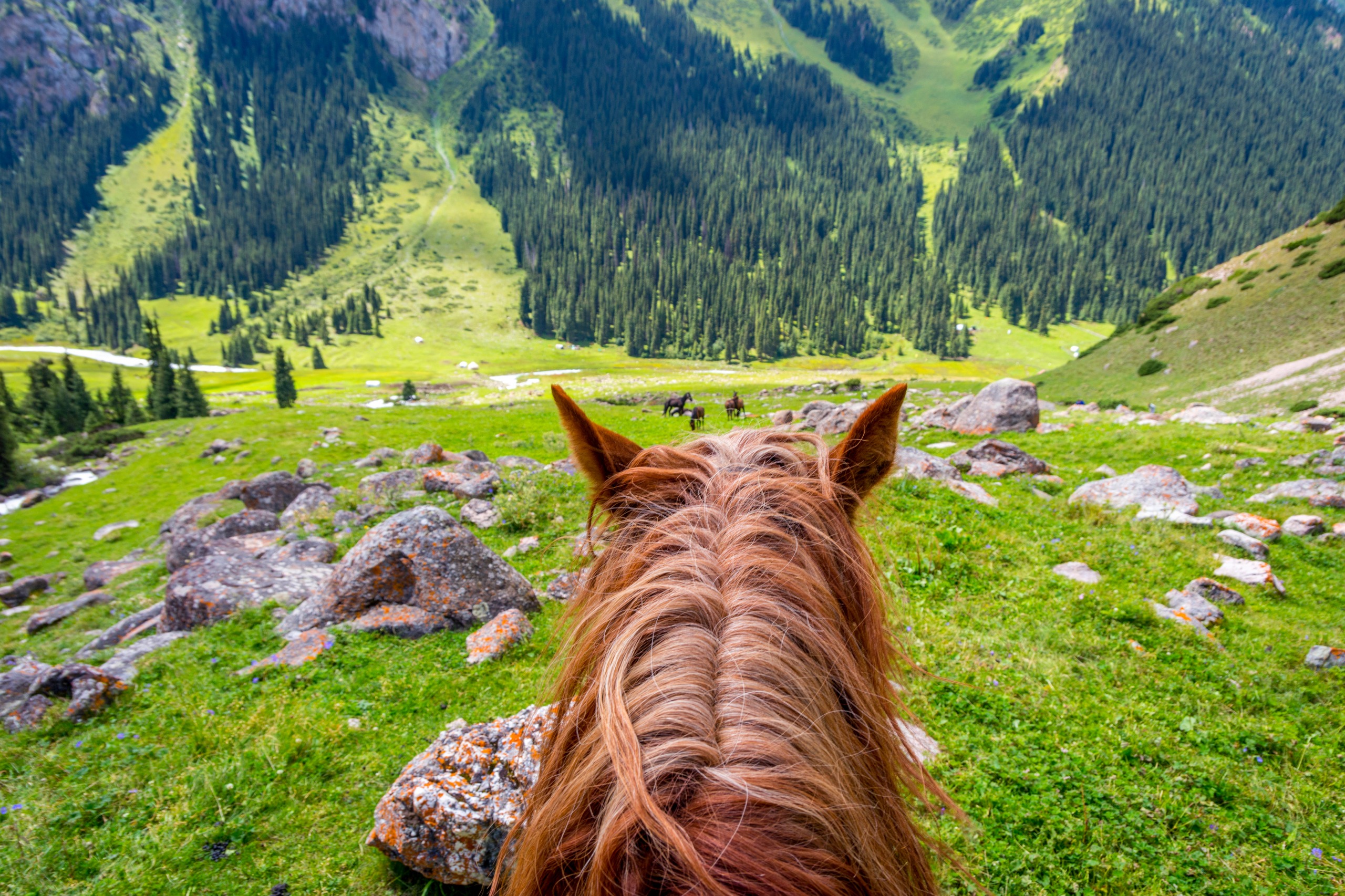 Trek à cheval au Kirghizistan : ce qu'il faut savoir avant de partir