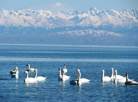 Que faire au lac Issyk Kul