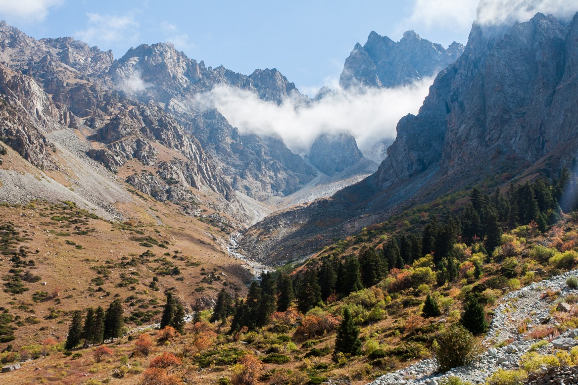 Parc national d'Ala Artcha