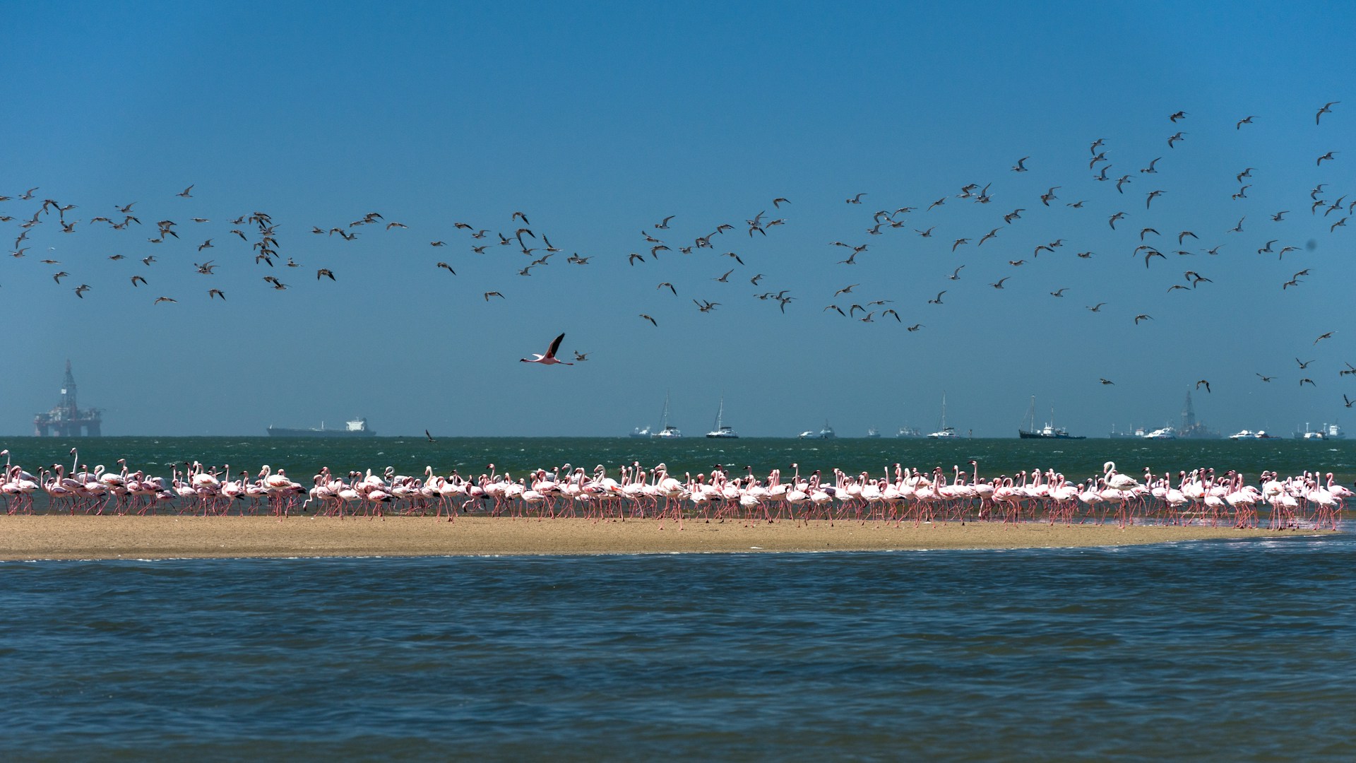 Walvis Bay