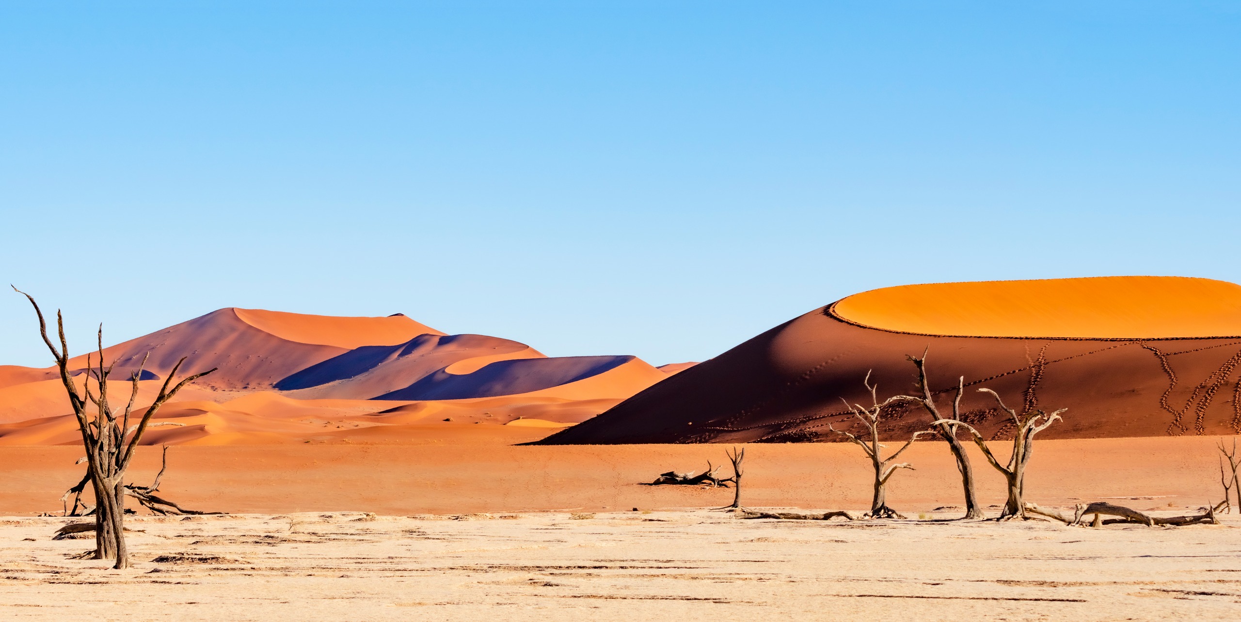 En Namibie