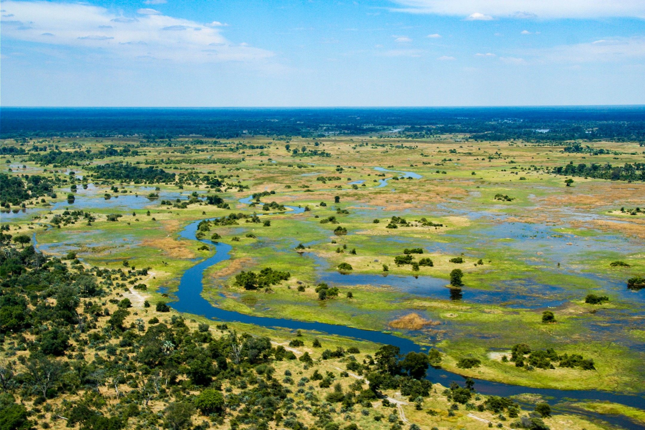 Delta de l’Okavango