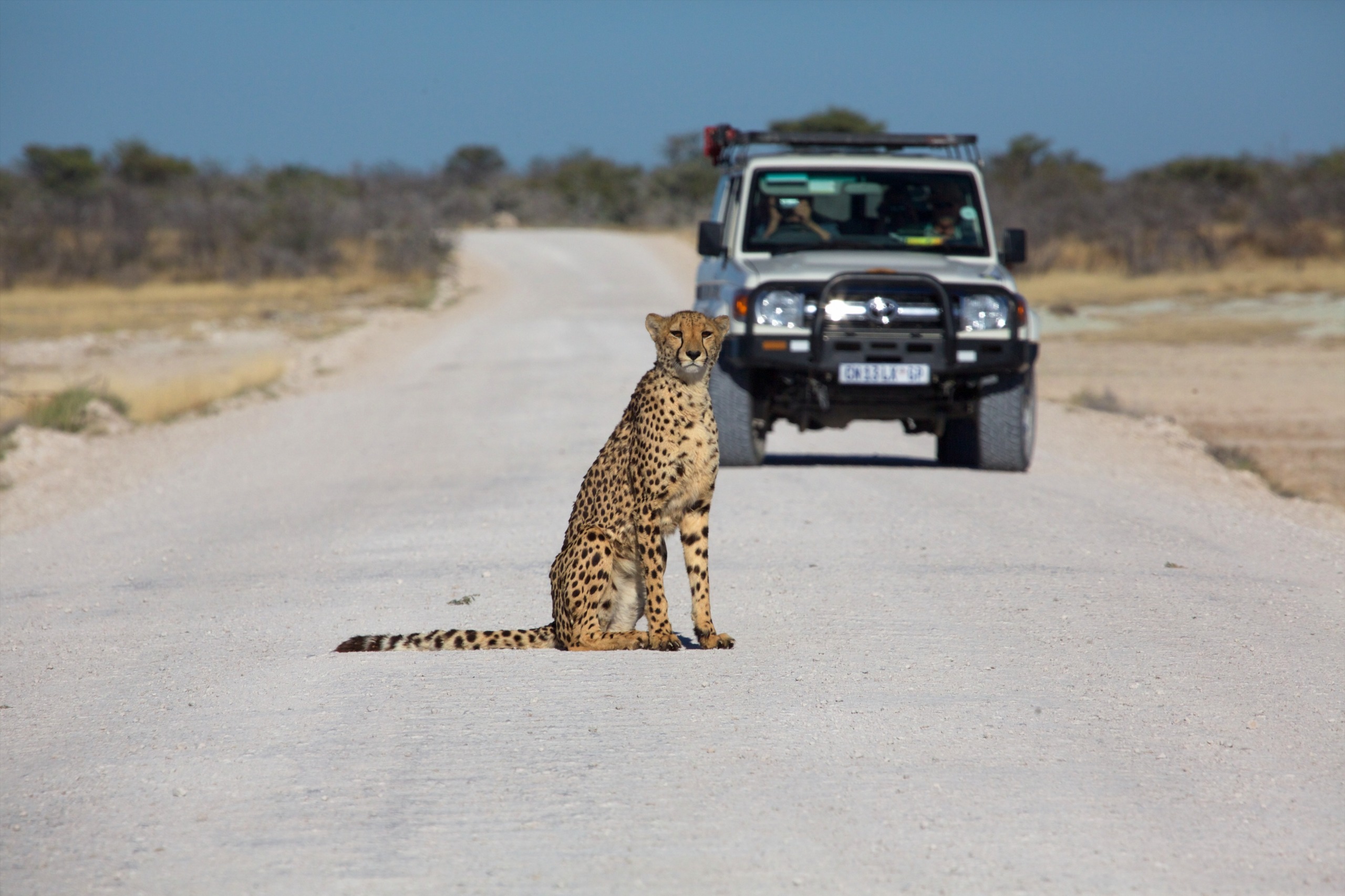 Avant de partir en Namibie