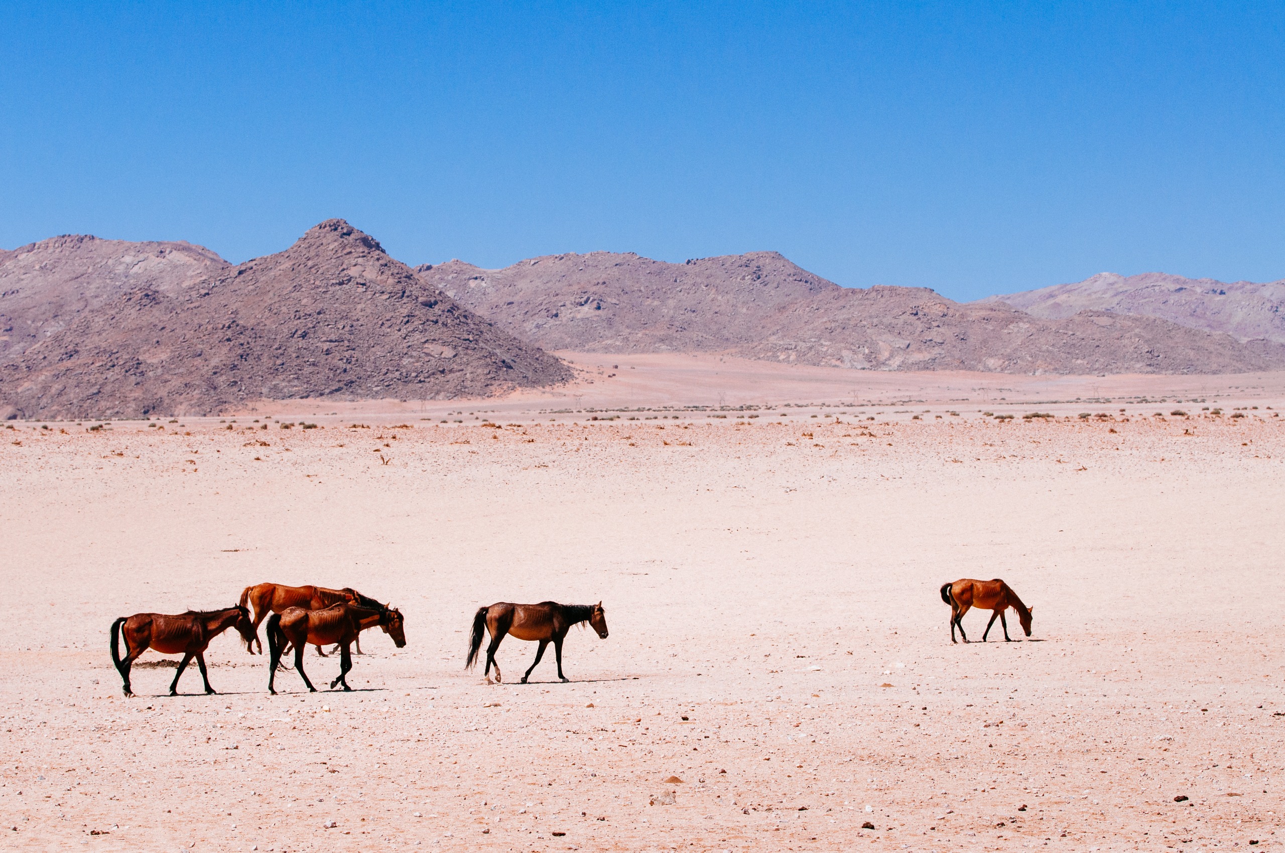 Namibie