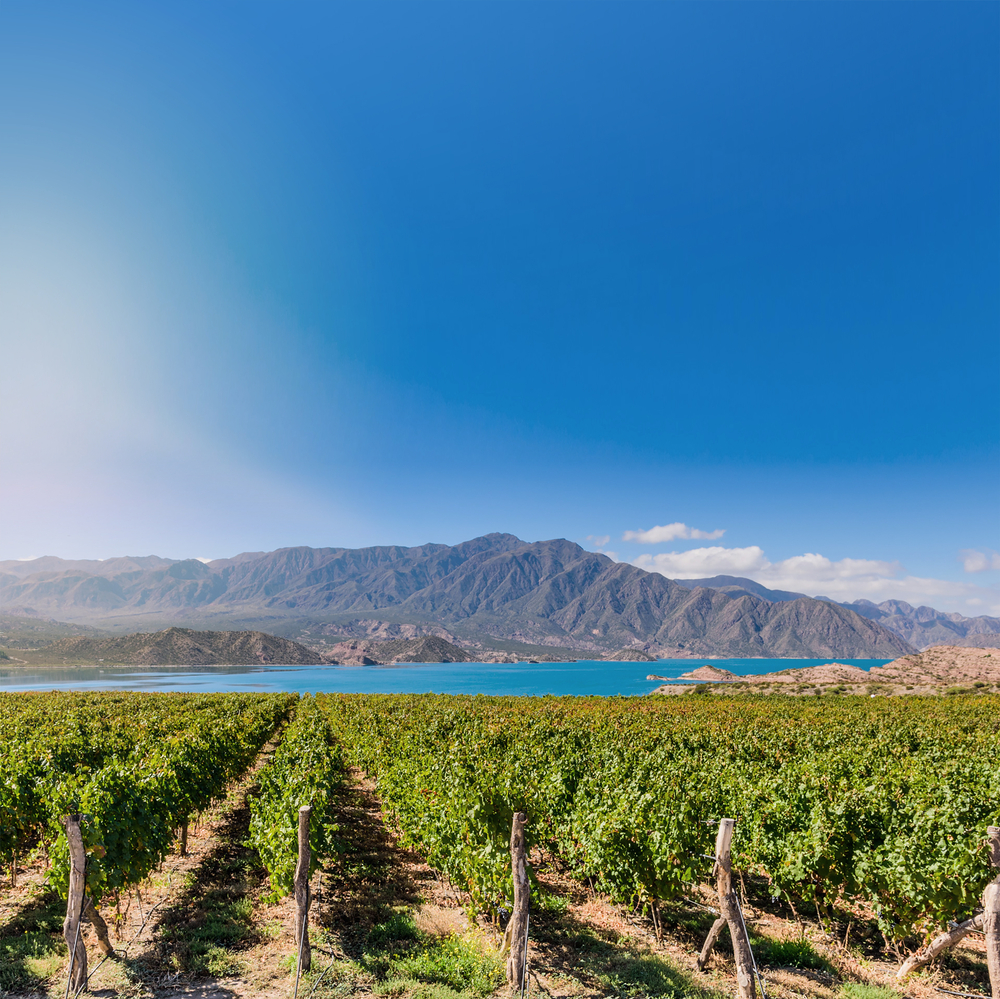 Mendoza