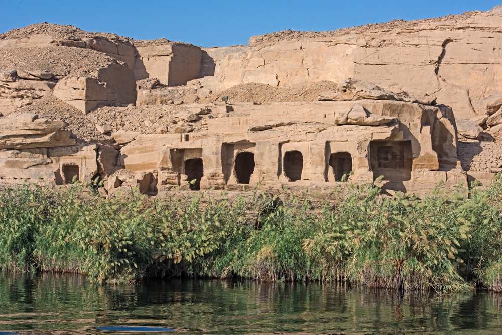 Oasis du désert occidental
