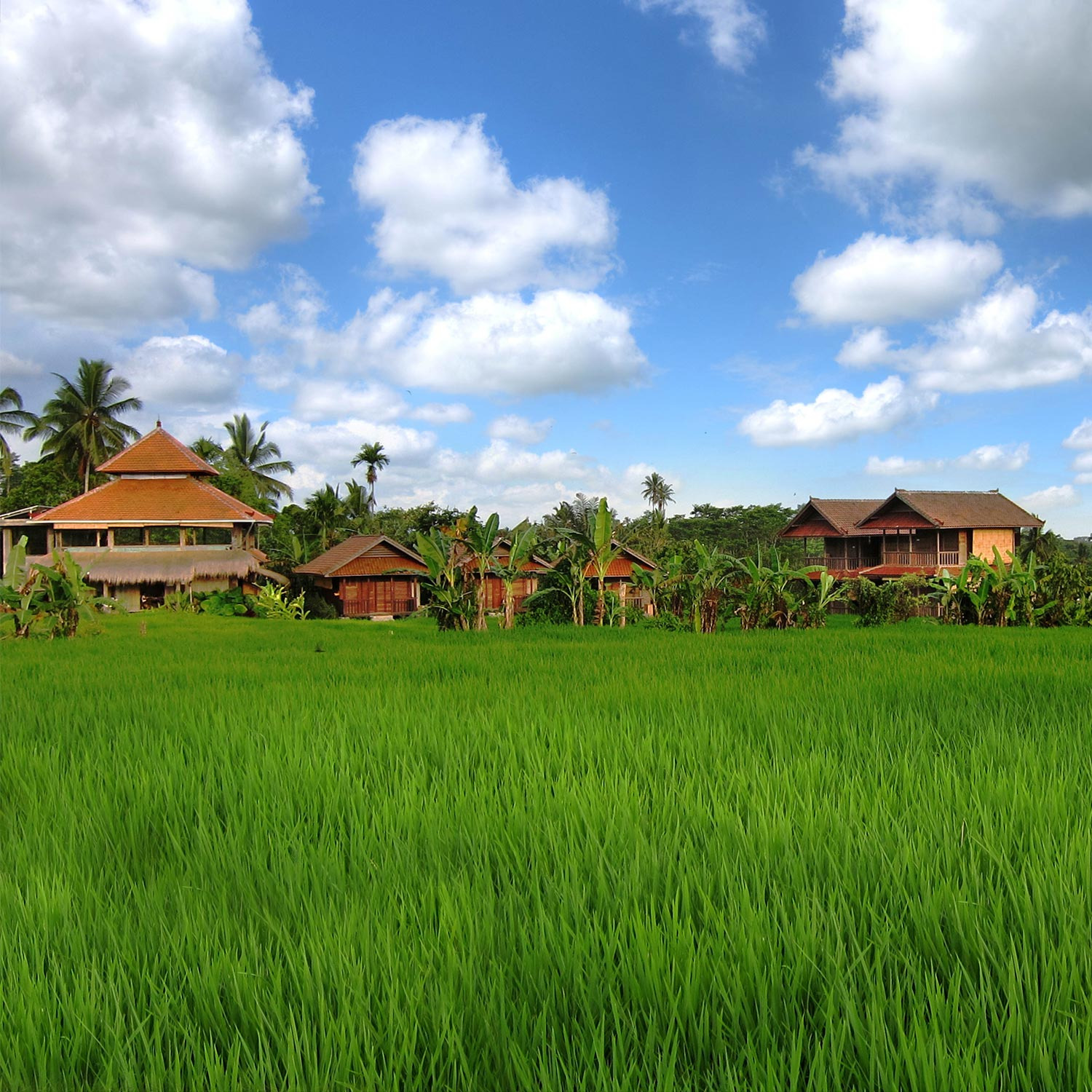 Bali Silent Retreat for Prayer & Meditation