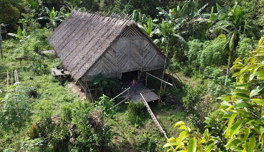 Siberut