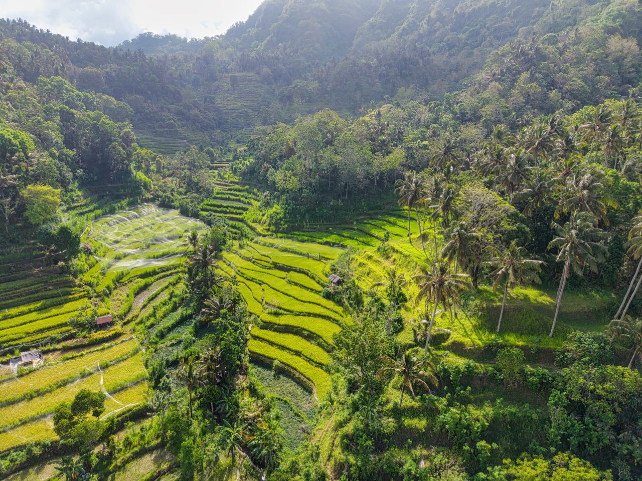Munduk