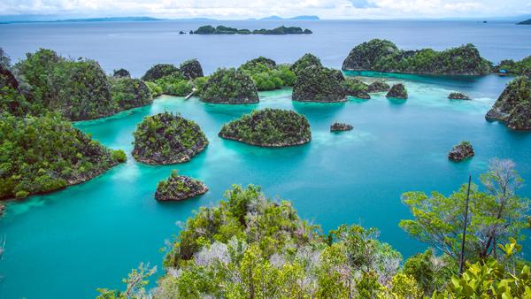 Les îles de Raja Ampat en Papouasie